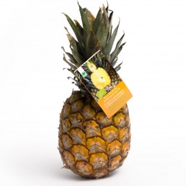 Ananas BIO 10szt. opakowanie zbiorcze
