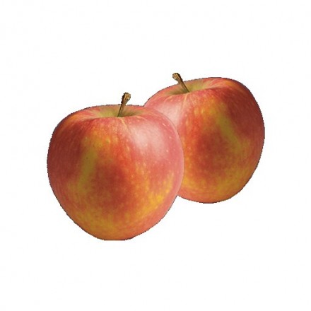 Czerwone jabłko Boskoop